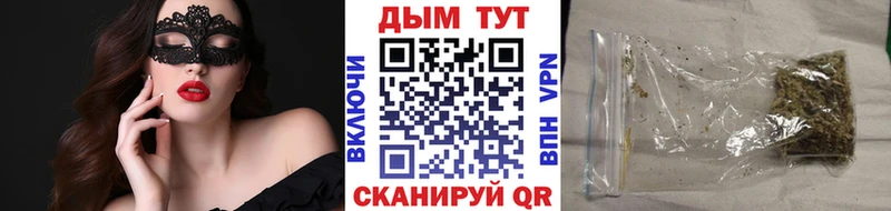 Где купить Шахунья A-PVP МЕФ ГАШ Cocaine