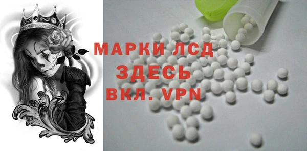 гидра Михайловск