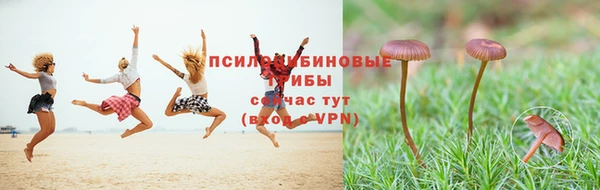 альфа пвп Михайловка