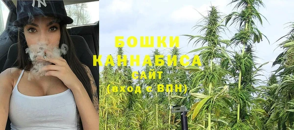 молекула духа Михайлов