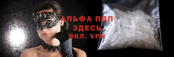 молекула духа Михайлов