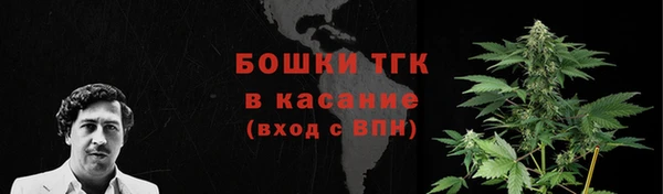 молекула духа Михайлов
