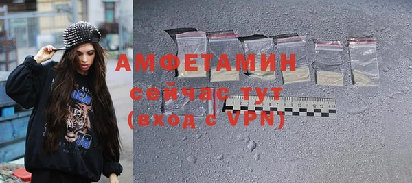 молекула духа Михайлов