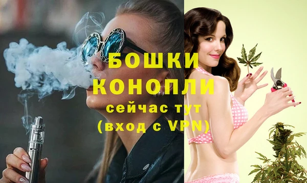 молекула духа Михайлов