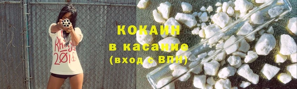 гидра Михайловск